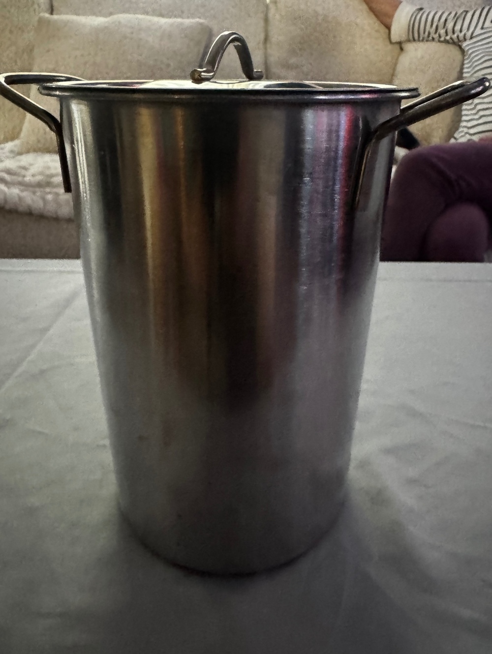 Stainless steel stock pot with lid